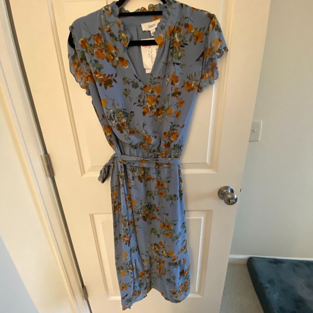 Carolina blue maxi dress